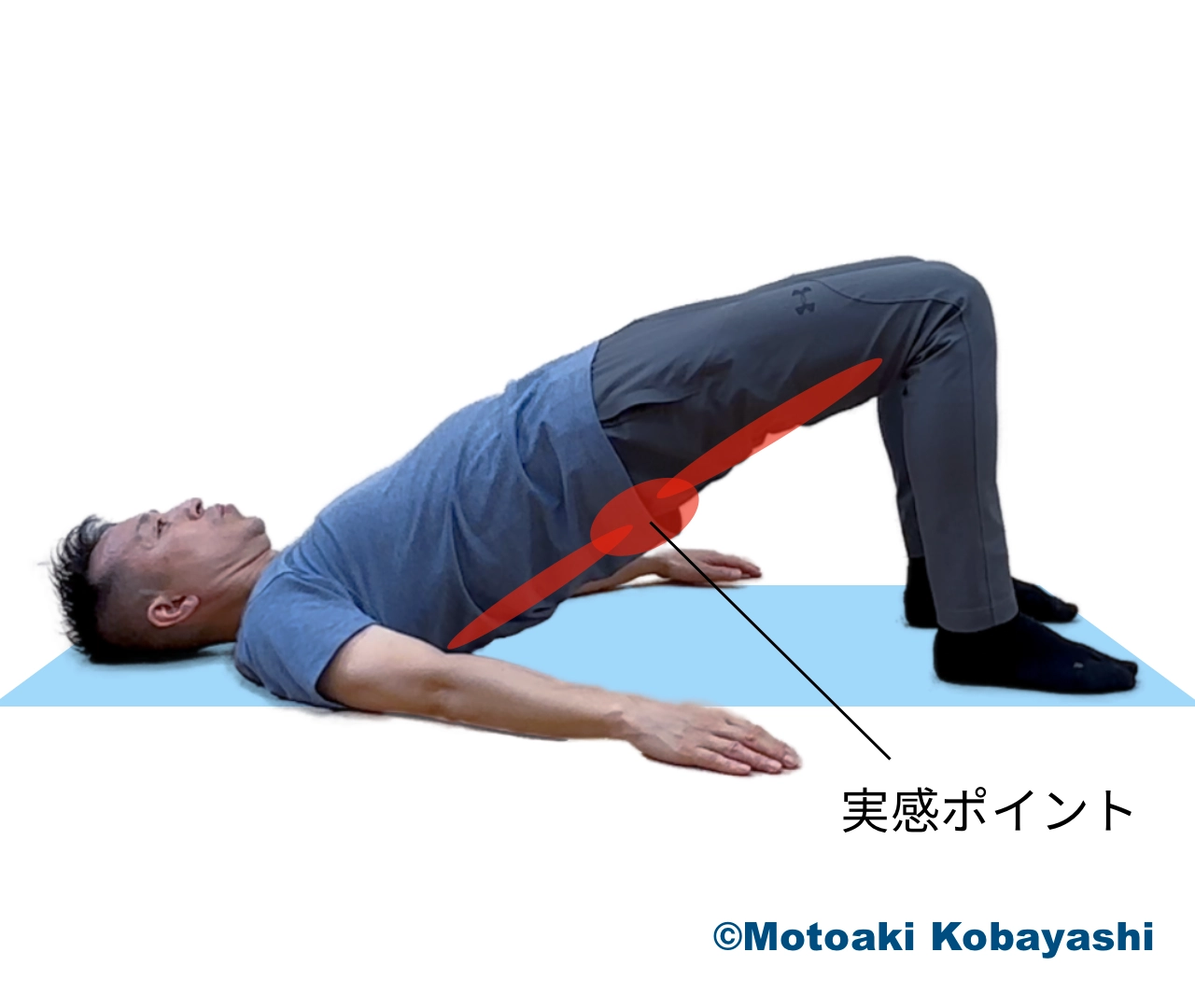 体幹／フロア　ヒップリフト
